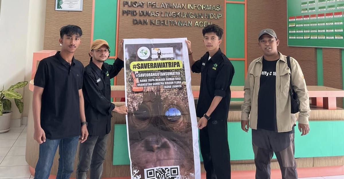 Kepada Dinas Lingkungan Hidup Dan Kehutanan Aceh Selamatkan Rawa Tripa