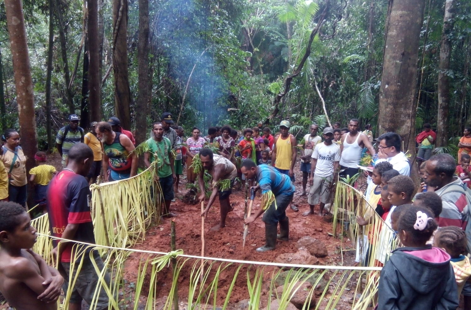 Selamatkan Hutan Papua Selamatkan Hutan Hujan