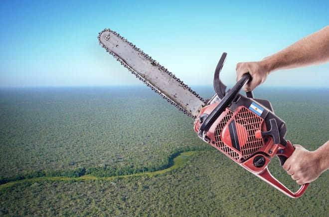 Montase foto: Foto dari udara. Nampak hutan Chaco dengan latar depan dua tangan yang memegang gergaji mesin.