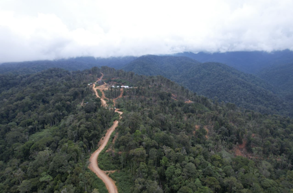 Jalan logging ilegal di Kawasan Ekosistem Leuser di Beutong