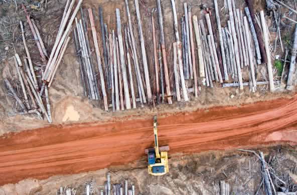 Foto dari udara: Ekskavator di lahan yang telah dibuka untuk perkebunan sawit milik perusahaan Korindo di Papua.