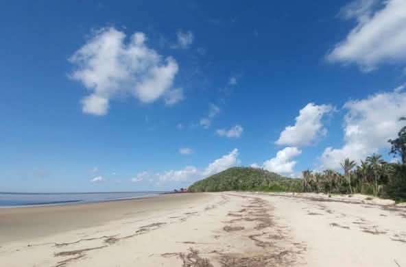 Pantai tropis dengan pohon kelapa di pulau Cajual