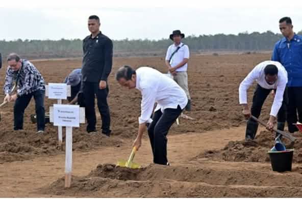 Beberapa pria dengan sekop di ladang gundul