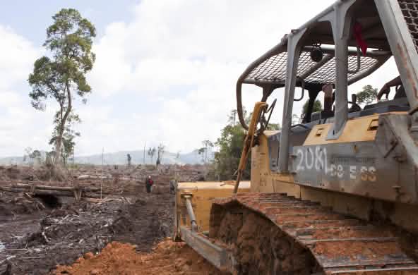 bulldoser merusakkan hutan