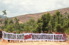 Warga Kinipan melawan deforestasi dan sawit