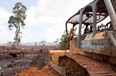 bulldoser merusakkan hutan