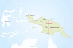 Peta pulau Papua