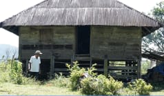 rumah kayu tua