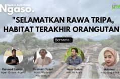 Poster Webinar "Selamatkan Rawa Tripa, Habitat terakhir Orangutan"