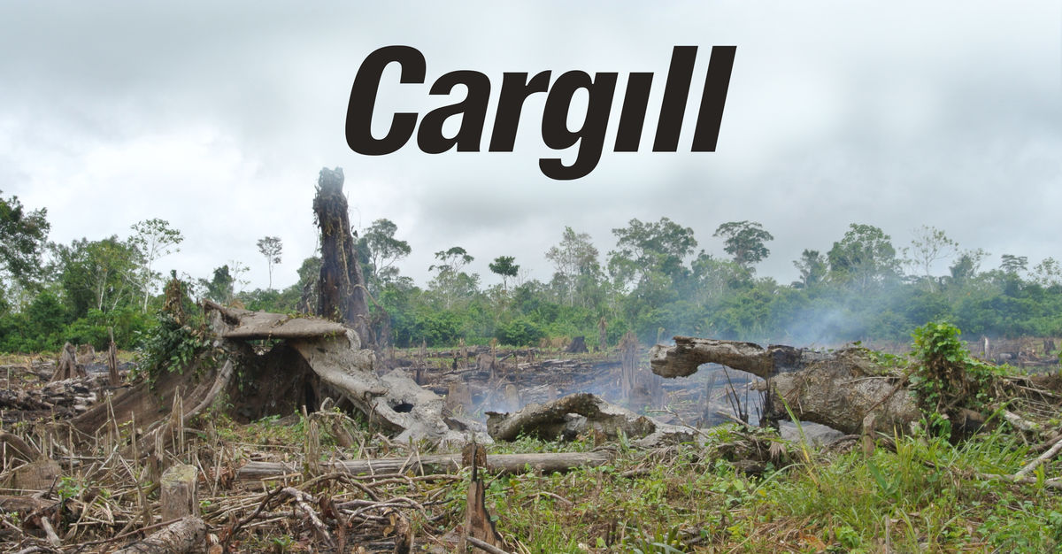 Hentikan “perusahaan terburuk di dunia“ - Cargill - Selamatkan Hutan Hujan