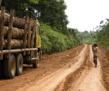 Feri Irawan ambil foto truk kayu di Jambi