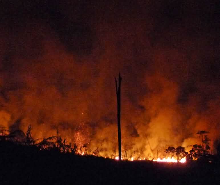 Kebakaran hutan di Kalimantan Kebakaran hutan di Kalimantan