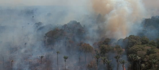 Foto dari udara hutan hujan di Amazon yang terbakar