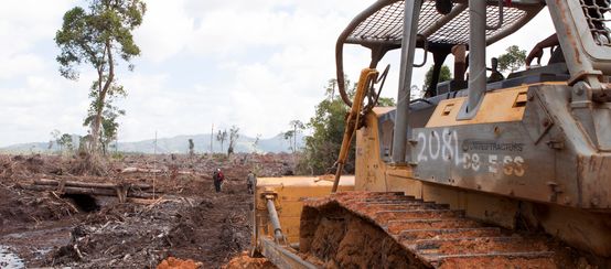 bulldoser merusakkan hutan