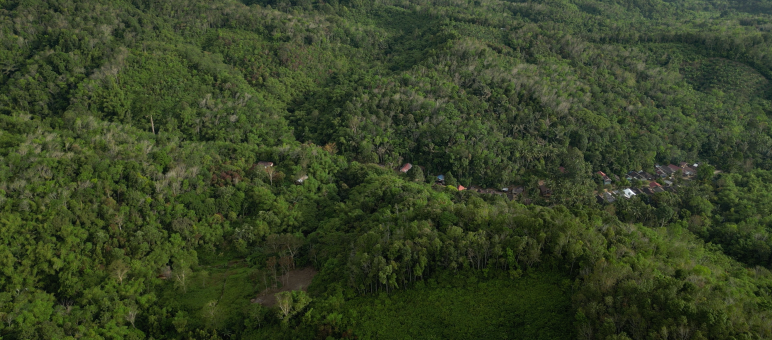 Kampung Malaris tersembunyi di hutan pergunungan Meratus foto drone kampung Malaris di hutan pergunungan Meratus