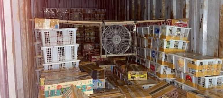 Dari isi truk ini FLIGHT telah menyelamatkan lebih dari 6.500 burung Suasana isi truk yang penuh kardus