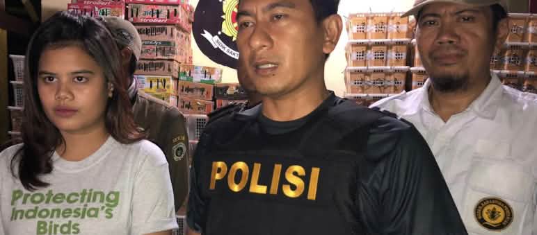 FLIGHT membongkar sindikat penyelundupan burung, dokter hewan memeriksa burung-burung dan polisi menangkap pelaku Seorang perempuan muda dengan t-shirt dari FLIGHT dan seorang polisi di ruang penyimpanan penuh dengan kardus berisi burung