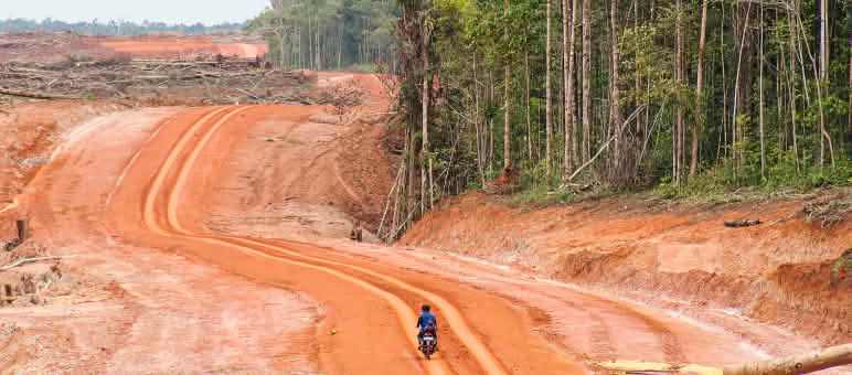 Jalanan membuka jalan menuju sumber daya alam. Hutan di Papua dan penduduknya diacuhkan. Hutan asli dan jalan baru di Merauke