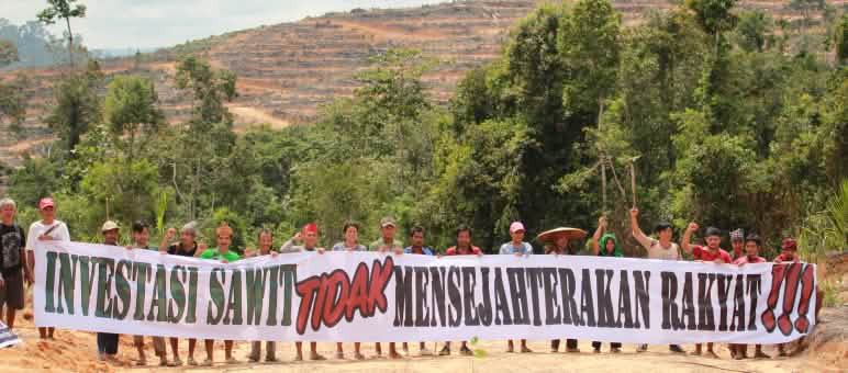 Perusahaan Sawit telah merusak sebagian hutan Kinipan Warga Kinipan melawan deforestasi dan sawit