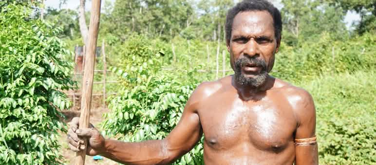 Masyarakat adat di Papua mempertahankan hutannya menentang perusahaan kertas Moorim Seorang asli Papua dari marga Gebze, Merauke