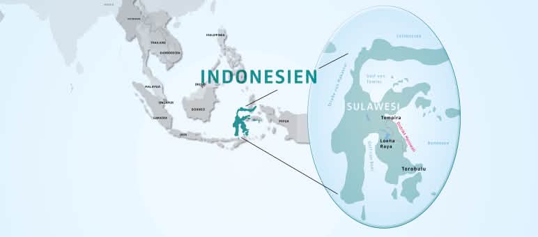Morowali merupakan pusat industri nikel. Di sekitar Loeha Raya dan Torobulu pertambangan merusak alam hingga ke hutan hujan Peta Sulawesi