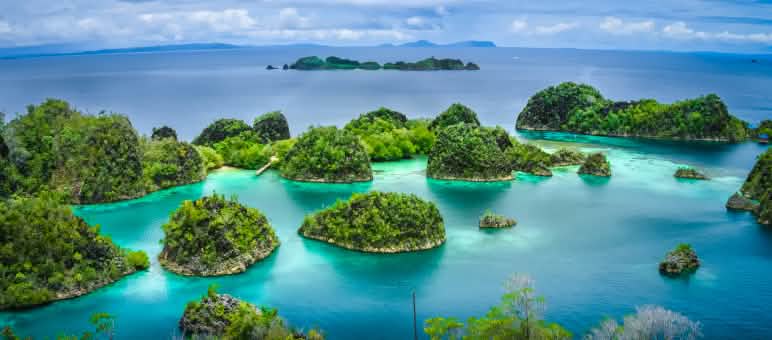 Raja Ampat kaya atas terumbu karang dan ekosistem perairan Kepulauan Raja Ampat