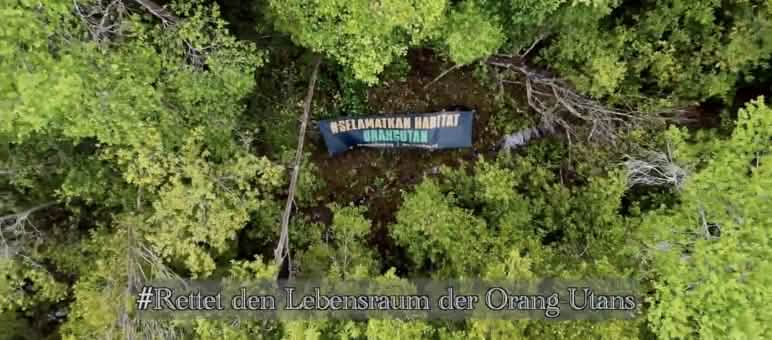 Selamatkan Habitat Orangutan! Spanduk "Selamatkan Habitat Orangutan"