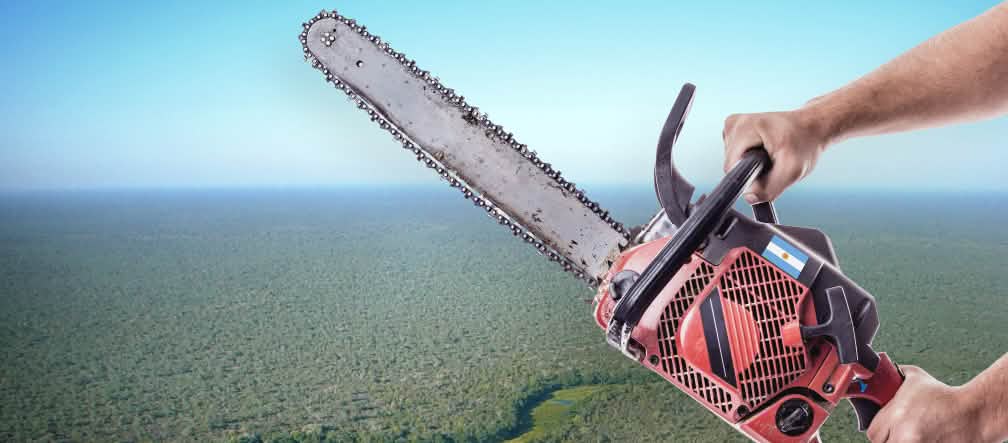Hutan Chaco terancam oleh ekspansi industri agraria dan penebangan hutan Montase foto: Foto dari udara. Nampak hutan Chaco dengan latar depan dua tangan yang memegang gergaji mesin.