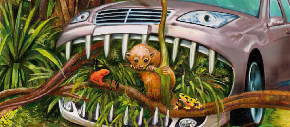 Politik biofuel menyebabkan kebakaran hutan di Indonesia berlanjut dan merugikan manusia dan orang utan yang terancam punah