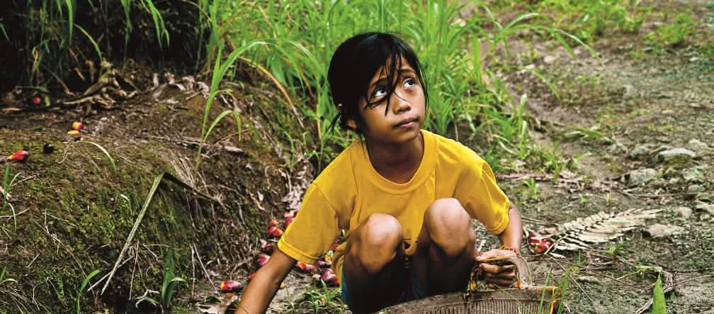 Anak-anak kecil sering harus menolong orang tuanya untuk memenuhi target kerja harian memanen sawit