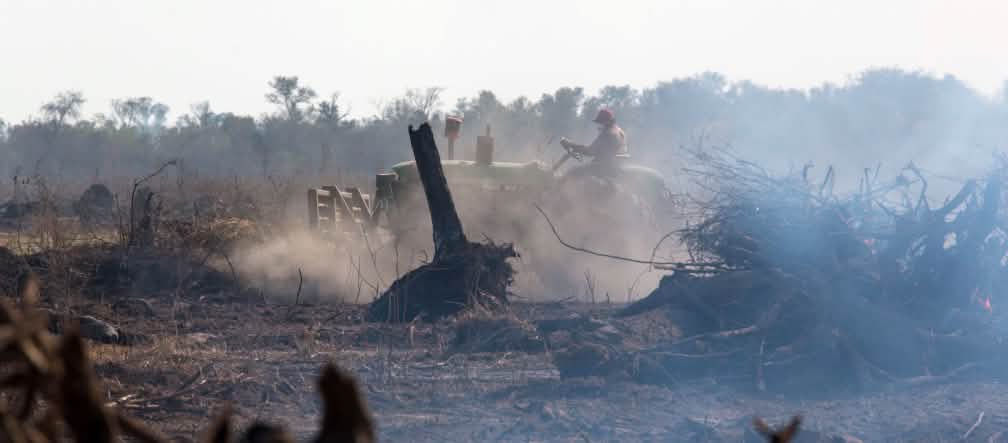 Deforestasi bagi perkebunan kedelai di wilayaha Chaco, Amerika Selatan Sebuah traktor mengaduk-aduk debu di wilayah penebangan hutan yang terbakar di hutan rimba