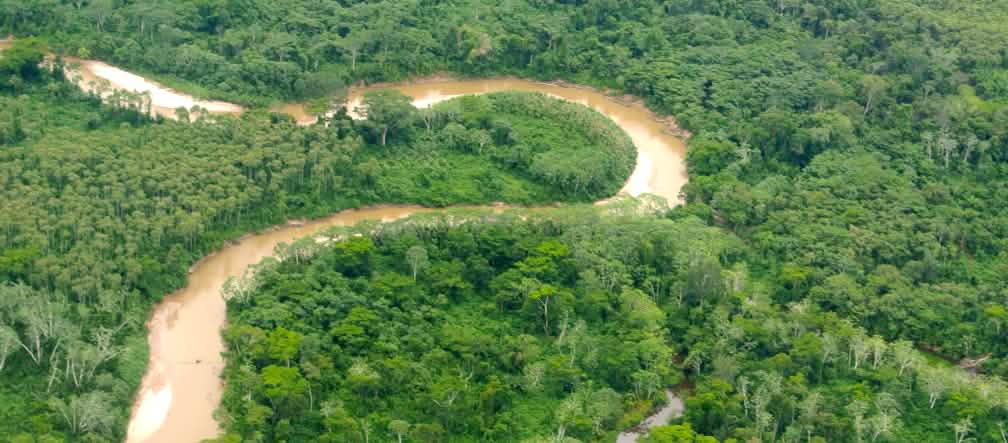Sebuah sungai berkelok-kelok melalui hutan hujan di Peru Foto aerial Amazonas Peru