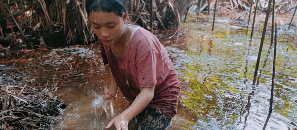 Hutan menyediakan makanan utama bagi masyarakat adat Mentawai, yaitu sagu Perempuan muda menyiapkan sagu