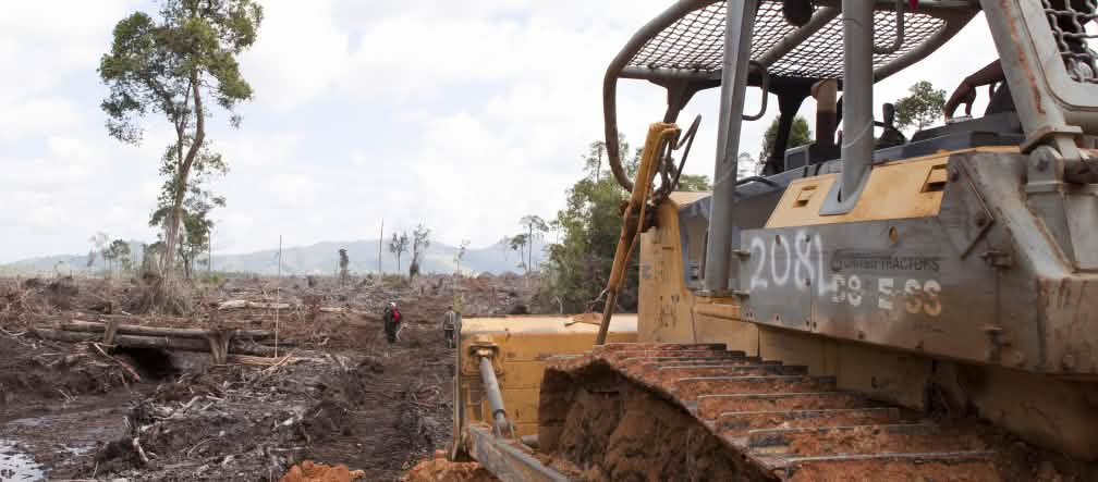 serbuan ke hutan rawa gambut bulldoser merusakkan hutan
