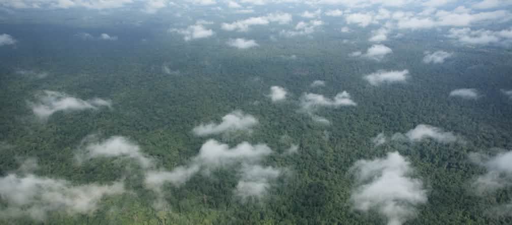Secara resmi dilindungi - namun terancam: Hutan Prey-Lang di Kamboja Foto dari udara: awan di atas hutan hujan yang rimbun