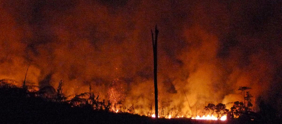 Kebakaran hutan di Kalimantan