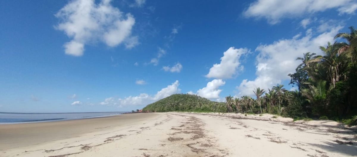 Pantai tropis dengan pohon kelapa di pulau Cajual