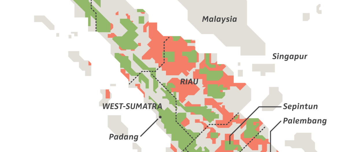 Kehilangan hutan di Sumatera