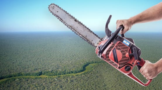 Montase foto: Foto dari udara. Nampak hutan Chaco dengan latar depan dua tangan yang memegang gergaji mesin.