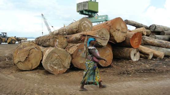 Tumpukan batang pohon di Kinshasa