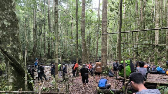 kelompok pendaki di dalam hutan