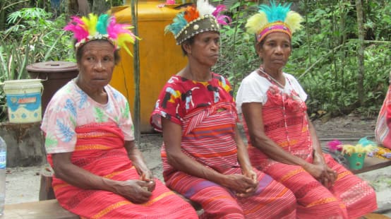 tiga perempuan Afsya, Sorong Selatan, dalam pakaian adat