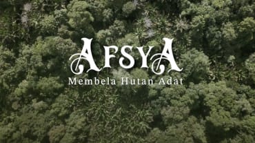 Pemandangan hutan dengan judul film: Afsya. Membela hutan adat