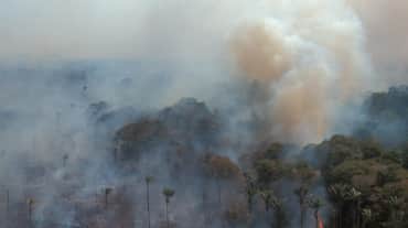 Foto dari udara hutan hujan di Amazon yang terbakar