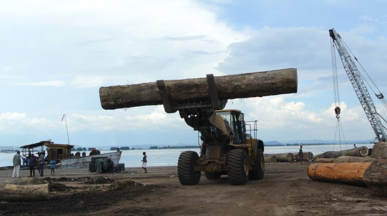 Pemuatan kayu di pelabuhan laut Kinshasa