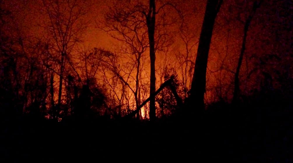 Di depan langit malam yang berwarna merah akibat api nampak sisa-sisa pohon yang telah menjadi arang.