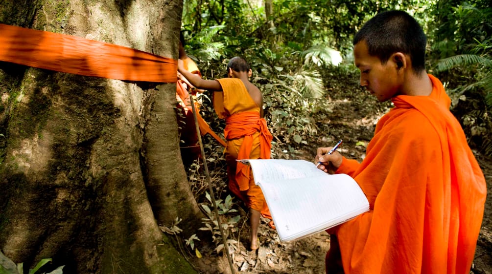 Biksu di Kamboja di lembah Arena sedang menandai pohon-pohon besar