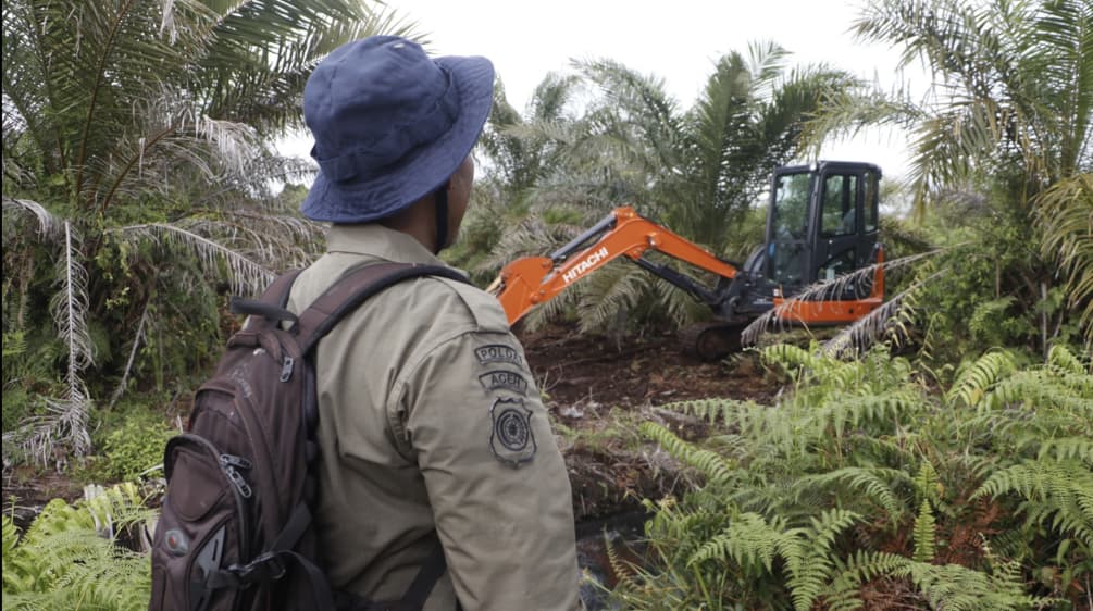 Laki-laki pakai ransel memonitor exkavator diantara kelapa sawit dan pakis