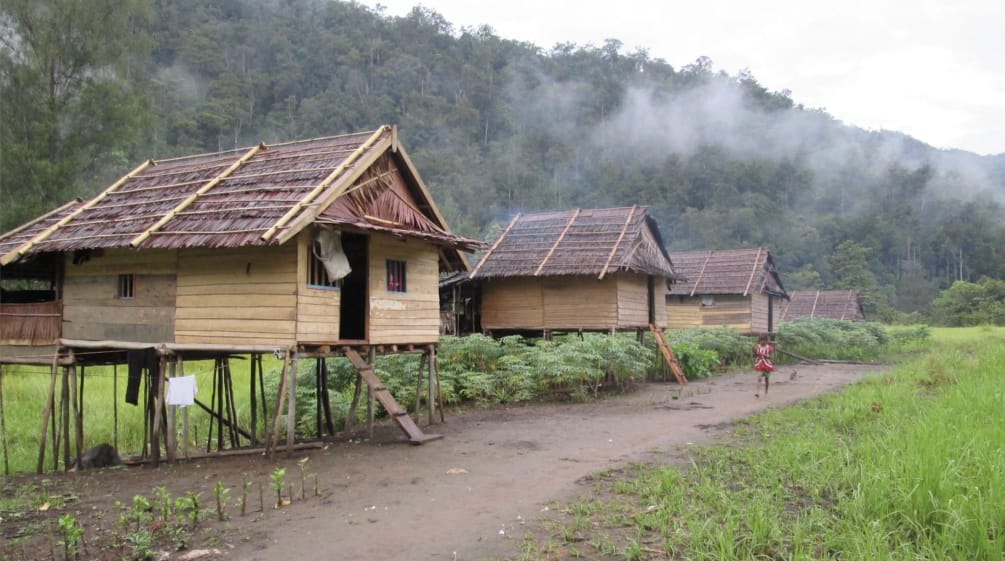 rumah-rumah masyarakat adat Tau Taa Wana dan seorang anak di jalan