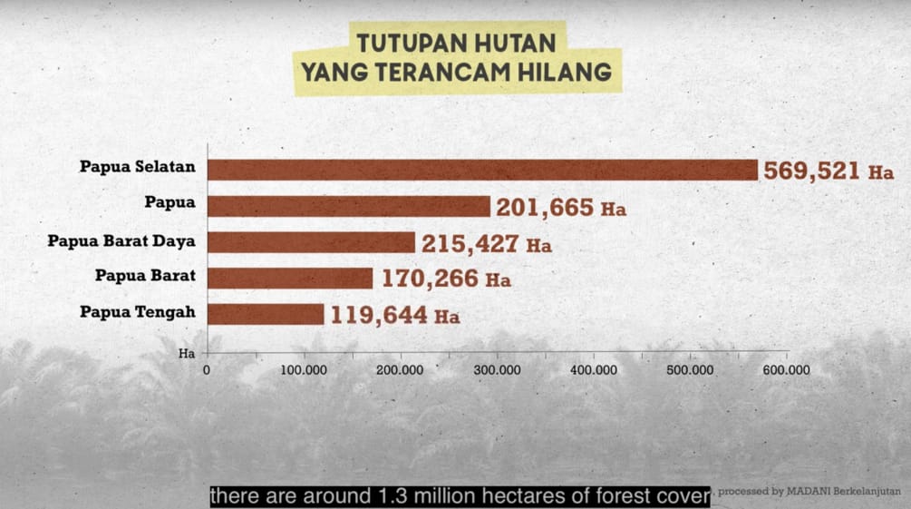 Grafik hutan hujan dimana perusahaan-perusahaan minyak sawit memiliki konsesi